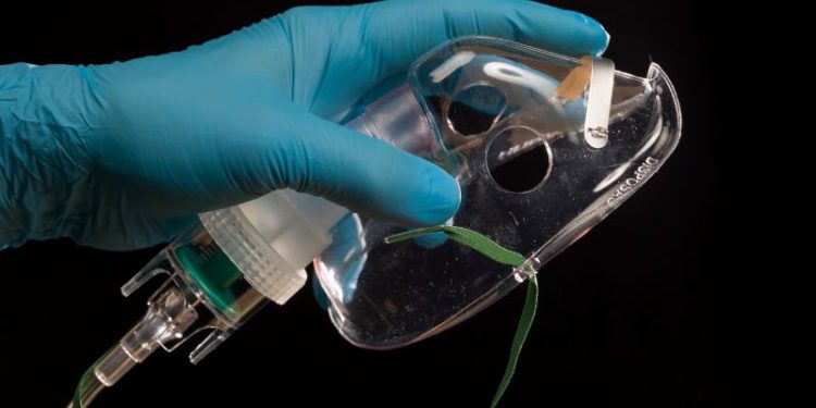 Caregiving Can Be Deadly. Put On Your Oxygen Mask First Caregiving Can Be Deadly. Put On Your Oxygen Mask First