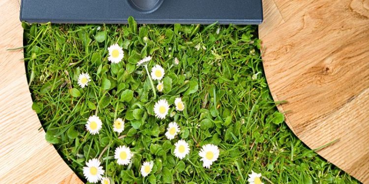 Are You Ready For An Inner Spring Clean? Are You Ready For An Inner Spring Clean?