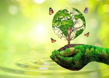 7 Practical Tips For Simplifying Water Usage