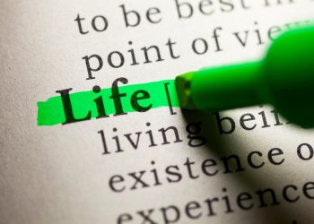 Over 50? Curate Your Fantastic Future Embracing The Portfolio Life