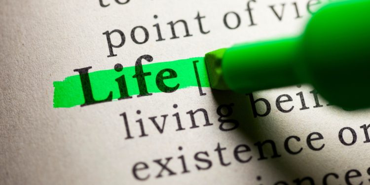 Over 50? Curate Your Fantastic Future Embracing The Portfolio Life