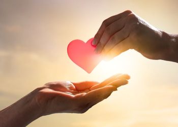 The Financial And Emotional Costs of Death: A Journey Of Love, Preparation, And Renewal