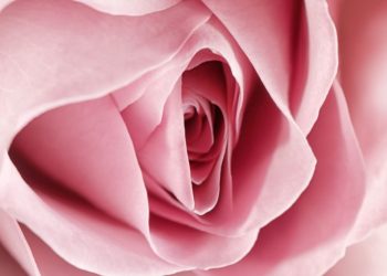 Overcome Painful Sex In Menopause: What Every Woman Over 50 Should Know