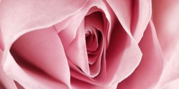 Overcome Painful Sex In Menopause: What Every Woman Over 50 Should Know