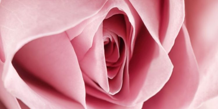 Overcome Painful Sex In Menopause: What Every Woman Over 50 Should Know Overcome Painful Sex In Menopause: What Every Woman Over 50 Should Know