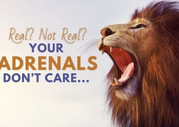 Cortisol And Adrenal Health: Unlocking The Magic Of The Human Body
