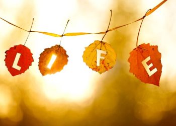 Cultivate A Low-Stress Life After 50: 4 Simple Tips For Achieving Serenity