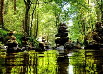 Proven Forest Bathing For Stress Relief: How Nature Calms The Brain And Heals The Mind