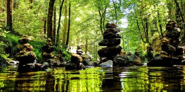 Proven Forest Bathing For Stress Relief: How Nature Calms The Brain And Heals The Mind