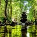 Proven Forest Bathing For Stress Relief: How Nature Calms The Brain And Heals The Mind Proven Forest Bathing For Stress Relief: How Nature Calms The Brain And Heals The Mind