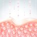 How To Choose Skin Staples That Nourish Beyond The Surface How To Choose Skin Staples That Nourish Beyond The Surface