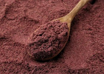 How Black Currant Powder Supports Your Health So You Can Keep Running Strong At 50+