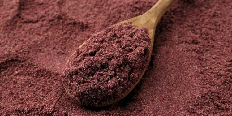 How Black Currant Powder Supports Your Health So You Can Keep Running Strong At 50+ How Black Currant Powder Supports Your Health So You Can Keep Running Strong At 50+