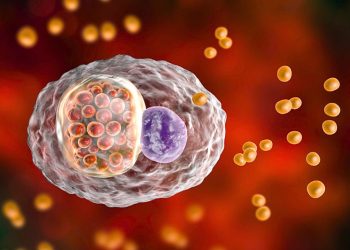 What Does Chlamydia Feel And Look Like In Women