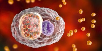 What Does Chlamydia Feel And Look Like In Women