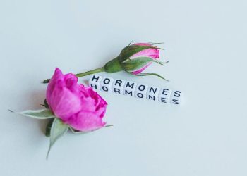 Essential Hormonal Support For Mental Health In Midlife: How To Stay Grounded Through Grief And Stress