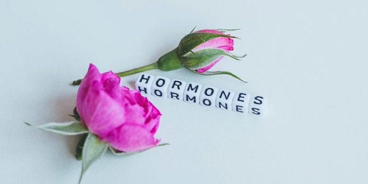 Essential Hormonal Support For Mental Health In Midlife: How To Stay Grounded Through Grief And Stress