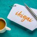 Breakthrough Career Reinvention For Women Over 50: Ikigai And The New Definition of Success Breakthrough Career Reinvention For Women Over 50: Ikigai And The New Definition of Success