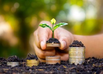 How To Build Financial Momentum In Midlife With These Essential, Powerful Shifts How To Build Financial Momentum In Midlife With These Essential, Powerful Shifts