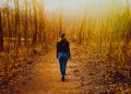 Letting Go After 50: Why Fall Is The Perfect Time To Reset Letting Go After 50: Why Fall Is The Perfect Time To Reset