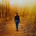 Letting Go After 50: Why Fall Is The Perfect Time To Reset Letting Go After 50: Why Fall Is The Perfect Time To Reset