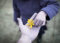 How To Let Go As A Parent: Why Acceptance Is Not Giving Up How To Let Go As A Parent: Why Acceptance Is Not Giving Up