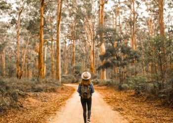 Joyful Healthy Lifestyle: 5 Simple Ways To Reset Before The New Year