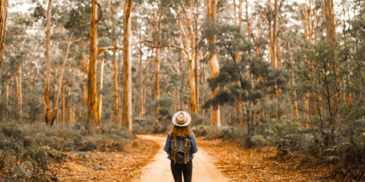 Joyful Healthy Lifestyle: 5 Simple Ways To Reset Before The New Year