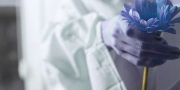 The Strength Of Soft Power: How Women Thrive Without The Armor