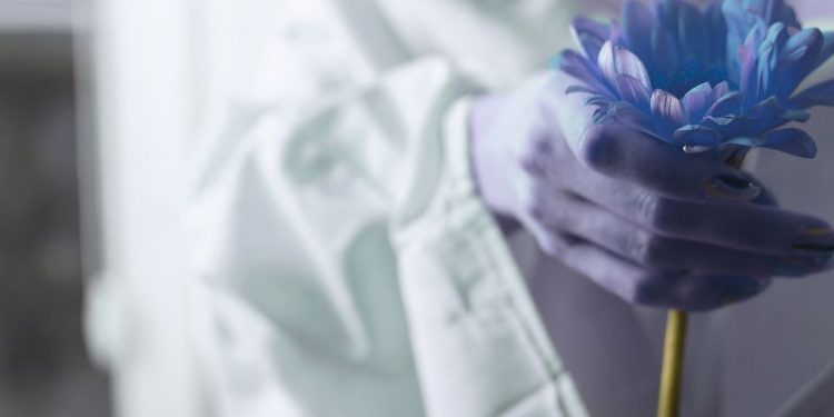 The Strength Of Soft Power: How Women Thrive Without The Armor The Strength Of Soft Power: How Women Thrive Without The Armor