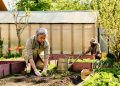 From Barren To Blooming: A Practical Gardening Guide For Women Over 50