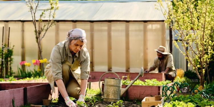 From Barren To Blooming: A Practical Gardening Guide For Women Over 50