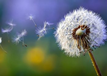 Emotional Baggage In Midlife Relationships: Clearing Space For Love Again