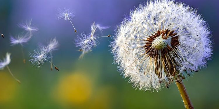 Emotional Baggage In Midlife Relationships: Clearing Space For Love Again Emotional Baggage In Midlife Relationships: Clearing Space For Love Again