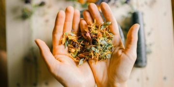 Naturopathy For Women Over 50: A Smart, Grounded Look At Everyday Health