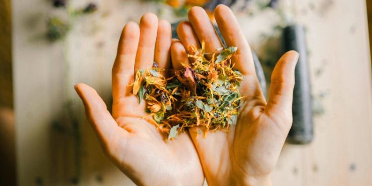 Naturopathy For Women Over 50: A Smart, Grounded Look At Everyday Health