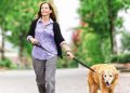 Common Stressors For Dogs: Honest Signs And Proven Relief