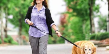 Common Stressors For Dogs: Honest Signs And Proven Relief