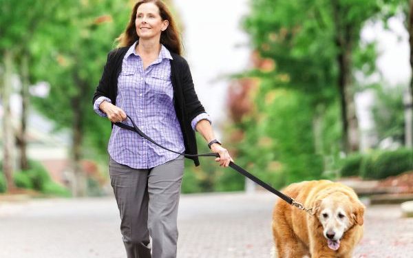 Common Stressors For Dogs: Honest Signs And Proven Relief