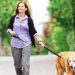 Common Stressors For Dogs: Honest Signs And Proven Relief