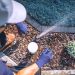 Smart Sprinkler System For A Low-Maintenance Yard, Easy Win