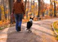 9 Ways Pet Care Routines Can Help Women Over 50 Create a More Balanced Life