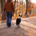 9 Ways Pet Care Routines Can Help Women Over 50 Create a More Balanced Life