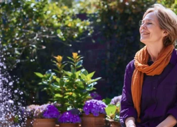 How Tinnitus Fits Into the Natural Solutions for Menopause Picture